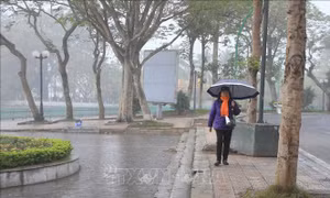 Thời tiết ngày Giổ Tổ Hùng Vương: Bắc Bộ và Trung Bộ có mưa
