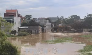 Gần 700 hộ dân thành phố Thanh Hóa nguy cơ chìm trong nước lũ