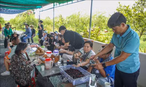 Kênh tiêu thụ mới cho nông sản và đặc sản địa phương
