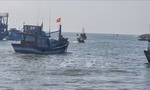 Bà Rịa-Vũng Tàu cấp bách xử lý bồi lấp khu vực Bến Lội - Bình Châu 