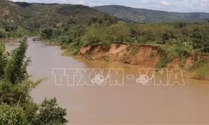Xử phạt, buộc một cá nhân khắc phục hậu quả của hành vi lấn sông trái phép