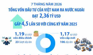 7 tháng năm 2026: Đầu tư của Việt Nam ra nước ngoài đạt 2,36 tỷ USD