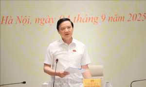 Phiên họp thứ nhất Tiểu ban Văn bản pháp luật và giải quyết khiếu nại, tố cáo, Hội đồng bầu cử quốc gia