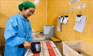Kỳ vọng về nông nghiệp xanh, nông nghiệp tuần hoàn trong kỷ nguyên mới