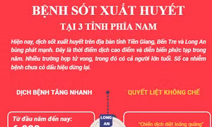 Khẩn trương khống chế bệnh sốt xuất huyết tại 3 tỉnh phía Nam