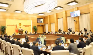 Xử lý triệt để tình trạng bỏ cọc sau khi trúng đấu giá