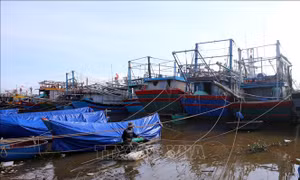 Quảng Trị sẵn sàng các phương án phòng, chống bão, mưa lũ lớn