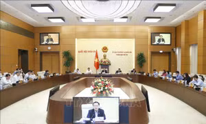 Kéo dài thời gian thí điểm cơ chế đặc thù đối với TP Hồ Chí Minh