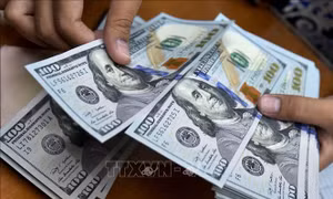 10 tháng, đầu tư của Việt Nam ra nước ngoài tăng 1,8 lần