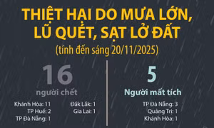 Thiệt hại do mưa lớn, lũ quét, sạt lở đất (tính đến sáng 20/11/2025)
