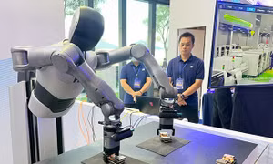 Rà soát công tác tuyển sinh đại học, thông báo chuẩn đầu vào chương trình đào tạo tài năng, vi mạch bán dẫn