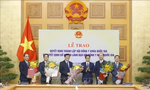 Ban hành Quy chế tổ chức và hoạt động của Hội đồng Y khoa Quốc gia