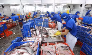 Hỗ trợ doanh nghiệp vượt qua khó khăn