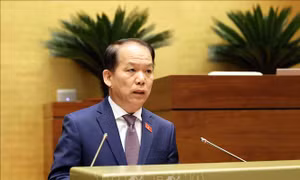 Từng bước hình thành đội ngũ luật sư công chuyên nghiệp