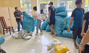 Bắt 9 đối tượng sản xuất, buôn bán thuốc chữa bệnh giả