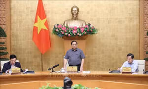 Chuẩn hóa quy định về tiêu chuẩn, quy chuẩn kỹ thuật