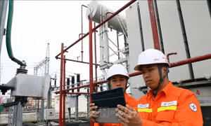 Loạt chính sách kinh tế mới có hiệu lực từ tháng 6/2024