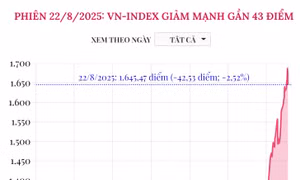 Phiên 22/8/2025: VN-Index giảm mạnh gần 43 điểm