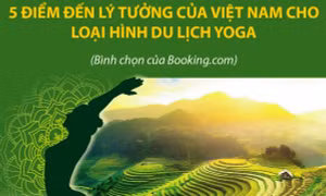 5 điểm đến lý tưởng của Việt Nam cho loại hình du lịch Yoga