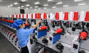 Việt Nam - vùng đất lành cho các tập đoàn lớn