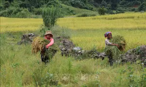 Đòn bẩy phát triển trung du, miền núi Bắc Bộ - Bài 3: Xóa 'vùng lõi nghèo' của cả nước