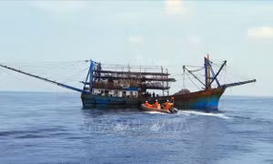 Ngộ độc khí trên tàu cá, 1 người chết, 5 người hôn mê sâu