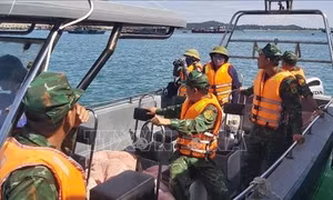 Ứng phó với bão số 9: Rà soát, kiểm tra chặt chẽ để đảm bảo mọi ngư dân đều đã vào bờ