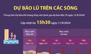 Dự báo lũ trên các sông (cập nhật 15h30 ngày 11/9/2024)