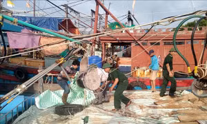 Thanh Hóa: Kêu gọi tàu, thuyền vào nơi tránh bão an toàn