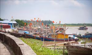 Ứng phó với bão số 3: Thái Bình sẵn sàng lực lượng, phương tiện ứng cứu khi có yêu cầu