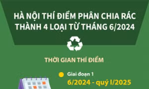 Hà Nội thí điểm phân chia rác thành 4 loại từ tháng 6/2024
