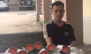 Triệt phá đường dây tàng trữ, mua bán, vận chuyển trái phép ma túy quy mô lớn