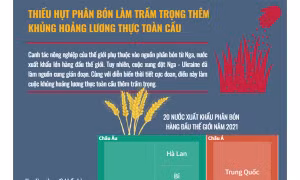 Thiếu hụt phân bón từ Nga làm trầm trọng thêm khủng hoảng lương thực toàn cầu