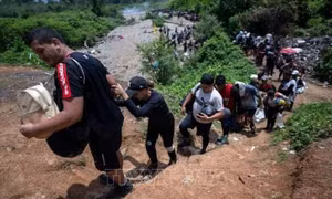 Nhiều người chết đuối khi vượt rừng Darién Gap trong lũ 