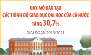 Giai đoạn 2013 - 2021: Quy mô đào tạo các trình độ giáo dục đại học tăng 30,7%