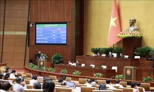 Không đưa thịt lợn vào Danh mục hàng hóa bình ổn giá