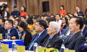 Bộ Kế hoạch và Đầu tư đề xuất 10 giải pháp cải cách, phát triển kinh tế năm 2025