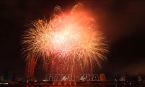 Lễ hội pháo hoa quốc tế Đà Nẵng 2019: Câu chuyện về mầm sống bất diệt