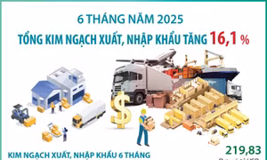 6 tháng năm 2025: Tổng kim ngạch xuất, nhập khẩu hàng hóa tăng 16,1%