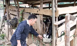 Bí thư Chi bộ người Mông học và làm theo lời Bác