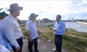 Khảo sát các tuyến giao thông trọng điểm kết nối khu vực Bà Rịa - Vũng Tàu