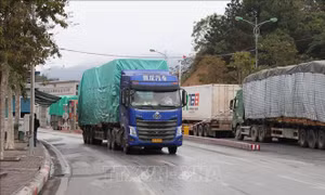 Xuất khẩu nông sản qua các cửa khẩu Lạng Sơn tăng mạnh