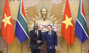 Chủ tịch Quốc hội Trần Thanh Mẫn hội kiến Tổng thống Nam Phi