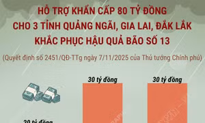 Hỗ trợ khẩn cấp 80 tỷ đồng cho 3 tỉnh Quảng Ngãi, Gia Lai, Đắk Lắk 