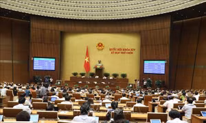 Thông qua Luật sửa đổi, bổ sung một số điều của Luật Phòng, chống thiên tai và Luật Đê điều