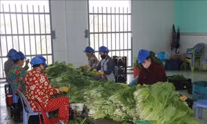 Hỗ trợ phụ nữ khởi nghiệp, phát triển kinh tế gia đình