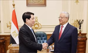 Chủ tịch nước Lương Cường hội kiến Chủ tịch Hạ viện Ai Cập