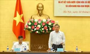 Thực hiện hiệu quả các điều ước quốc tế giữa Việt Nam và Liên bang Nga