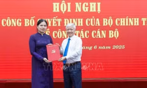 Đồng chí Hà Thị Nga tham gia Ban Chấp hành, Ban Thường vụ Đảng ủy MTTQ, các đoàn thể Trung ương