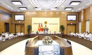 Hoàn thiện thể chế, tháo gỡ 'điểm nghẽn', tạo động lực phát triển đất nước
